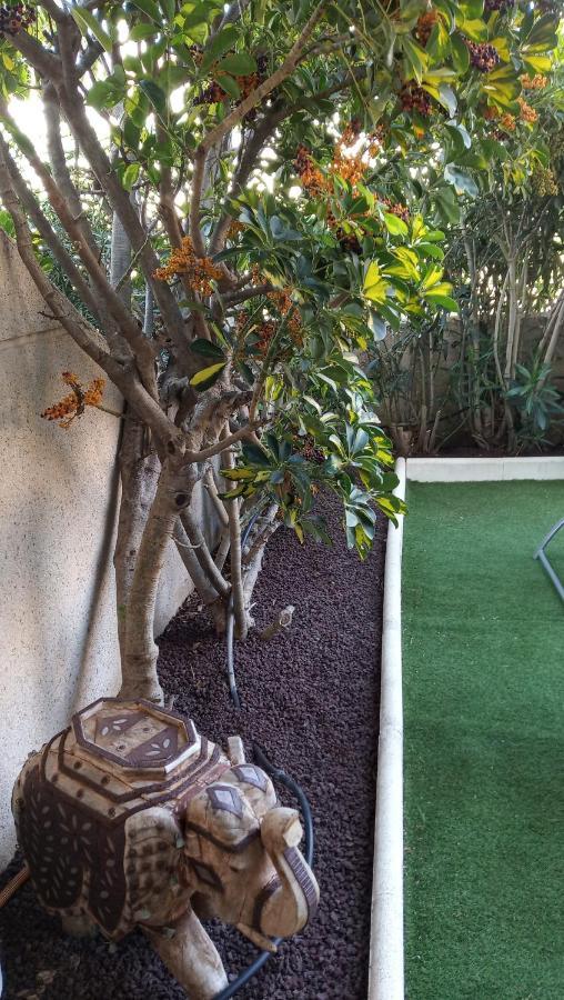 Ferienwohnung Apartamento Con Jardin Y Piscina En El Balancon El Médano Exterior foto